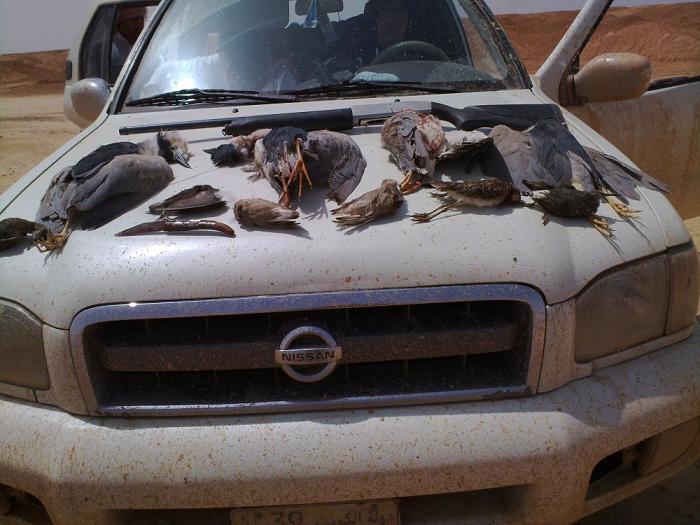 ����� ������ ����� ����� �������