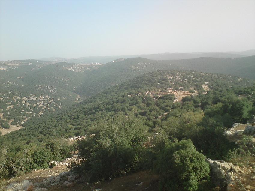 ����� ������ ����� ����� �������