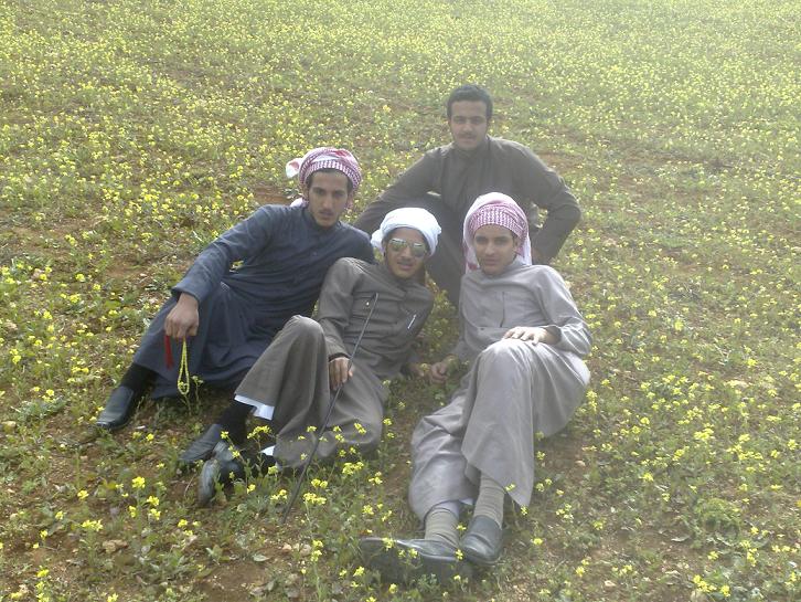 ����� ������ ����� ����� �������