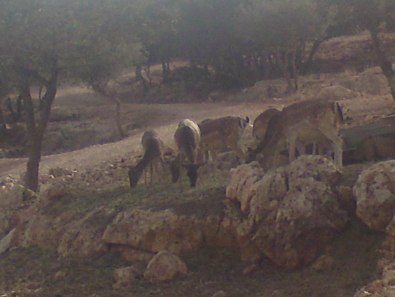 ����� ������ ����� ����� �������