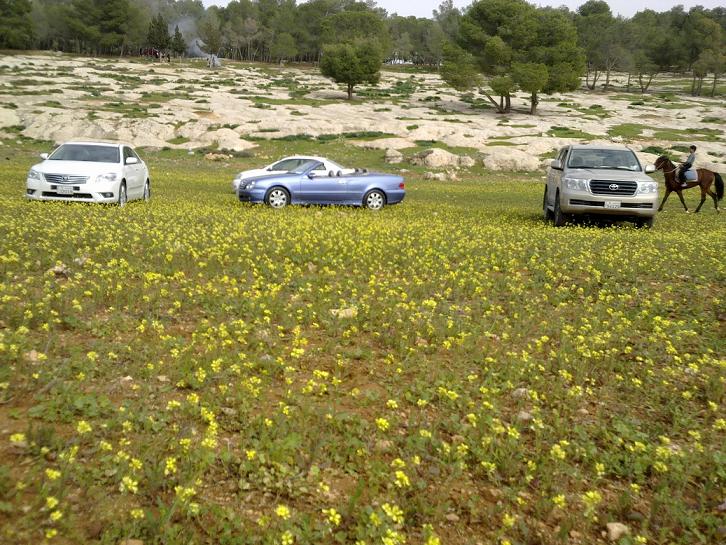 ����� ������ ����� ����� �������