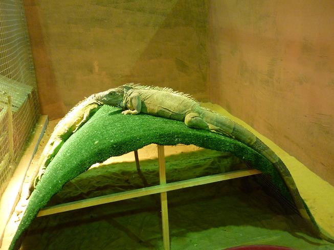 ����� ���� ����� ���� ����