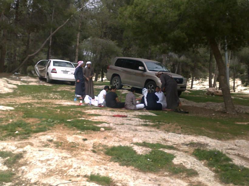 ����� ������ ����� ����� �������