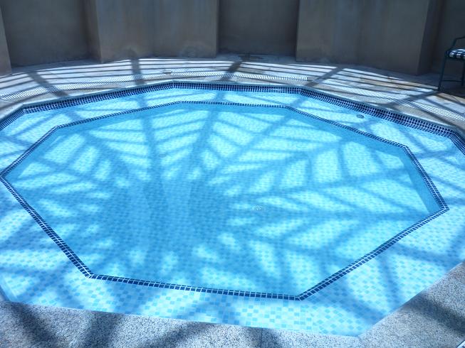 ����� ���� ���� ����� ������