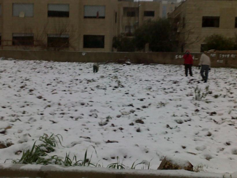 ����� ������ ����� ����� �������