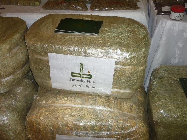 ����� ������� ����� (�����������)