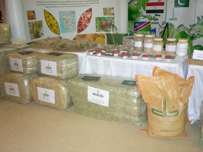 ����� ������� ����� (�����������)