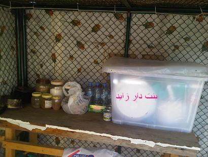 ����� ��������� ������������