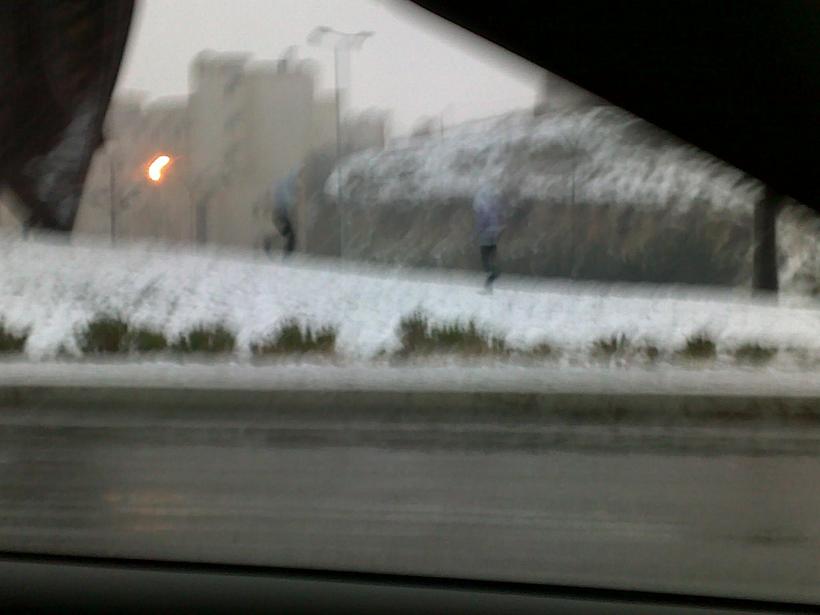 ����� ������ ����� ����� �������