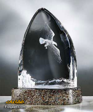 ���� ������