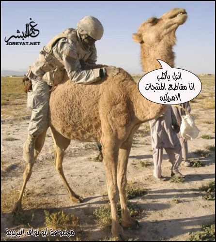 ���� ���� ����