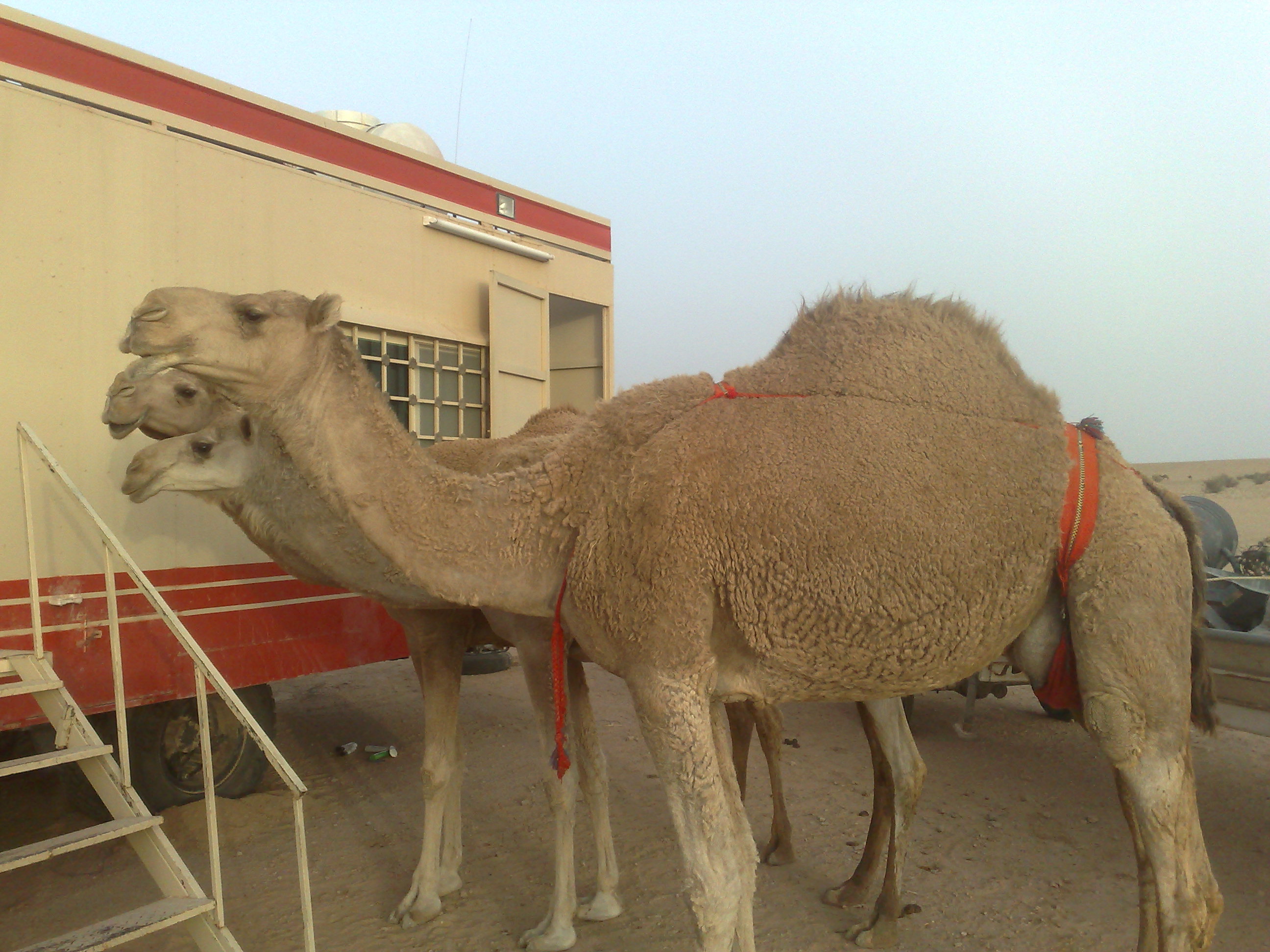 @��� ���� ���� ������ ������@