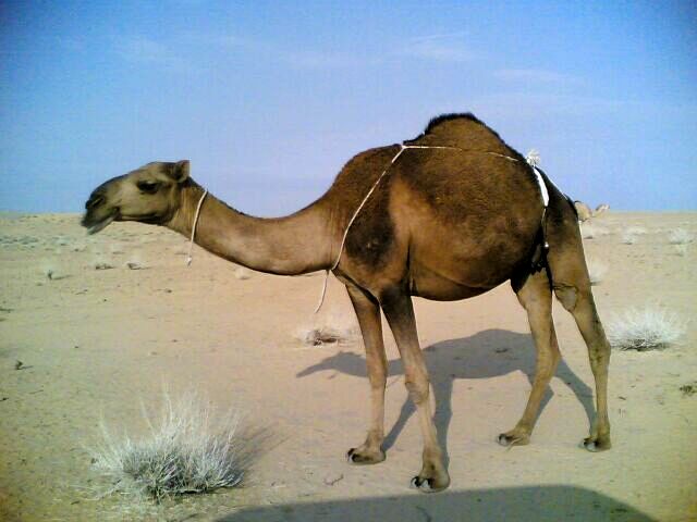 @��� ���� ���� ������ ������@