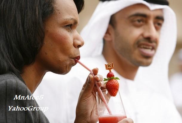 ����������� ����������������