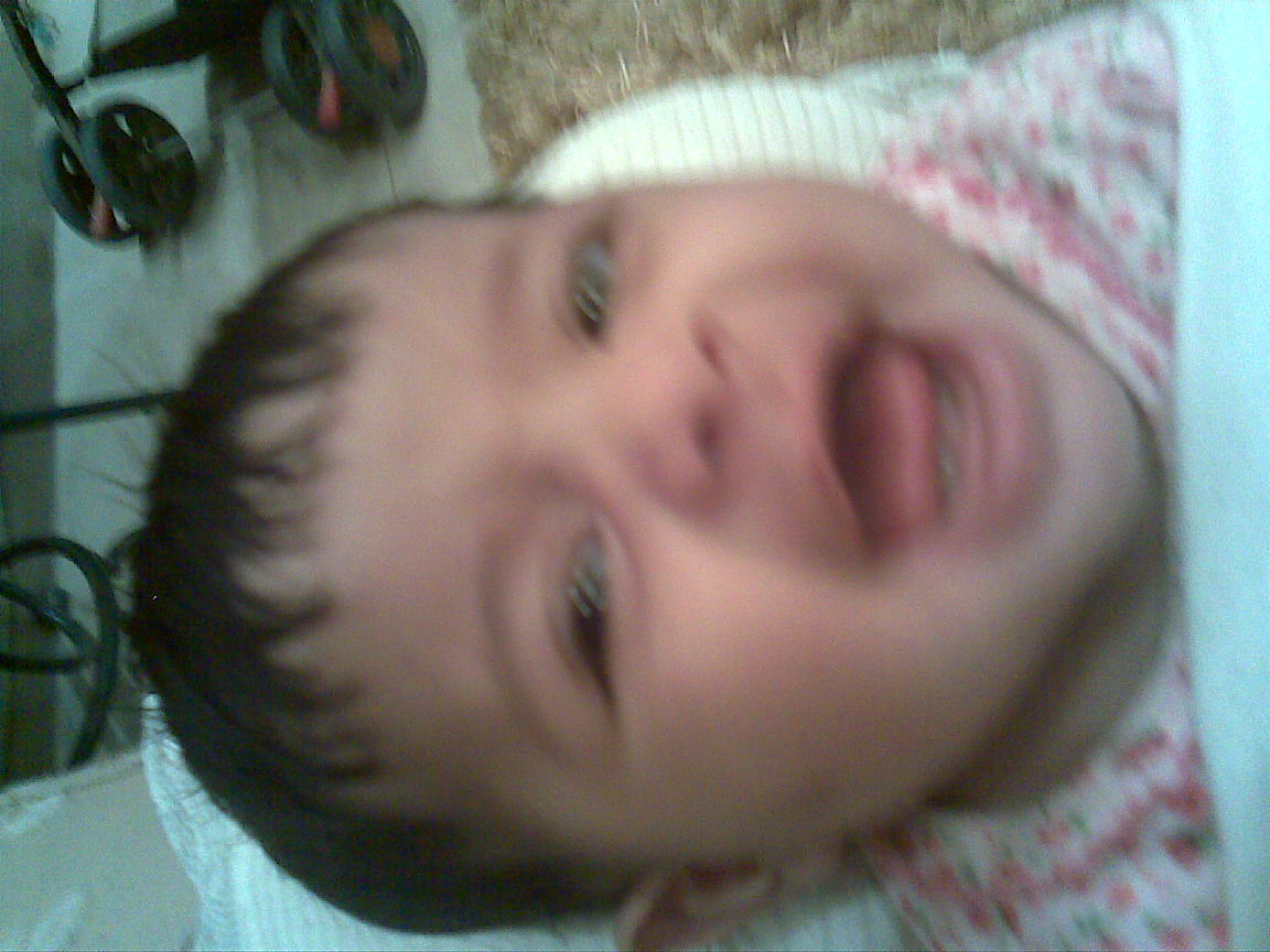 ����� ���������