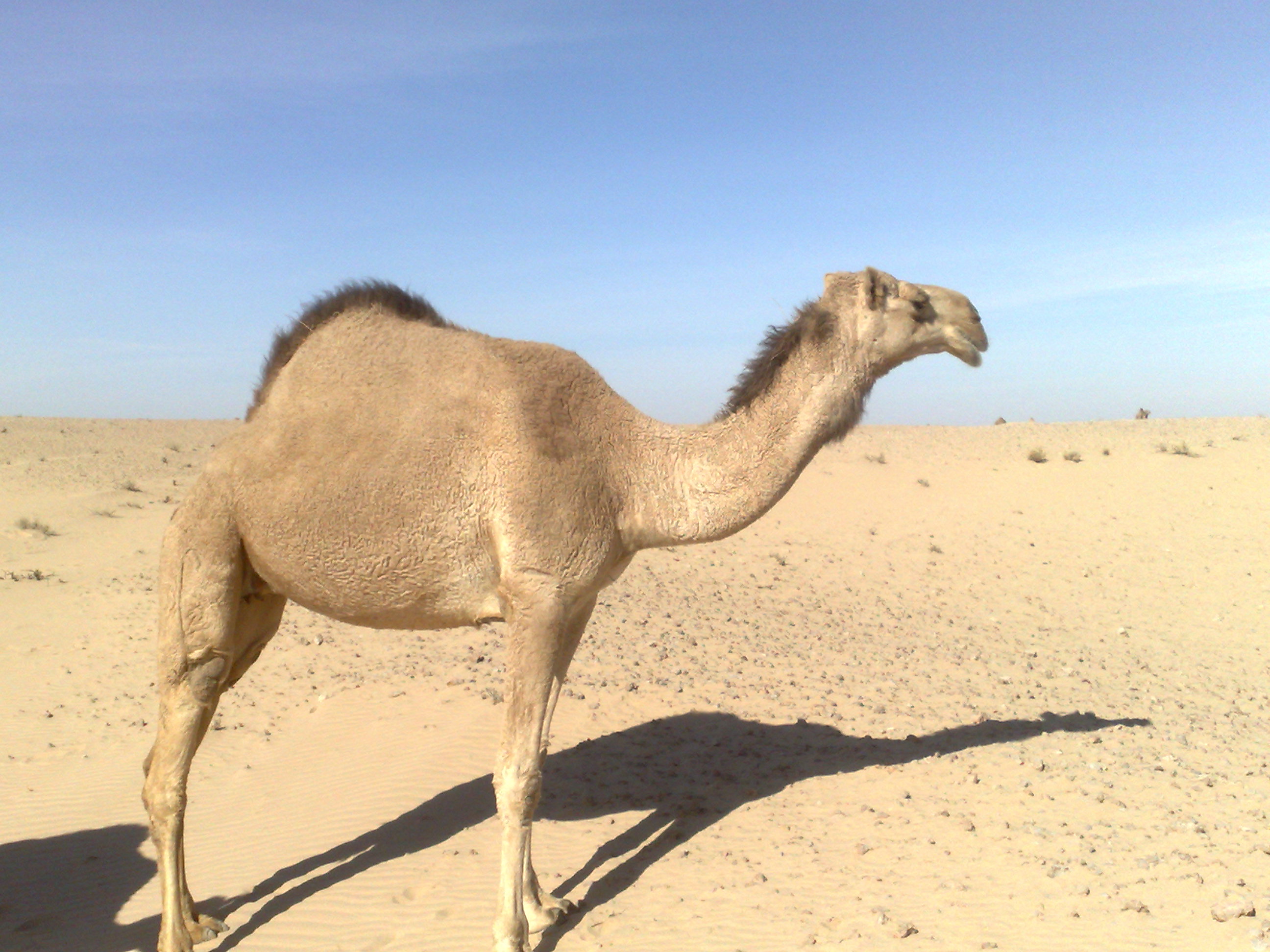 @��� ���� ���� ������ ������@