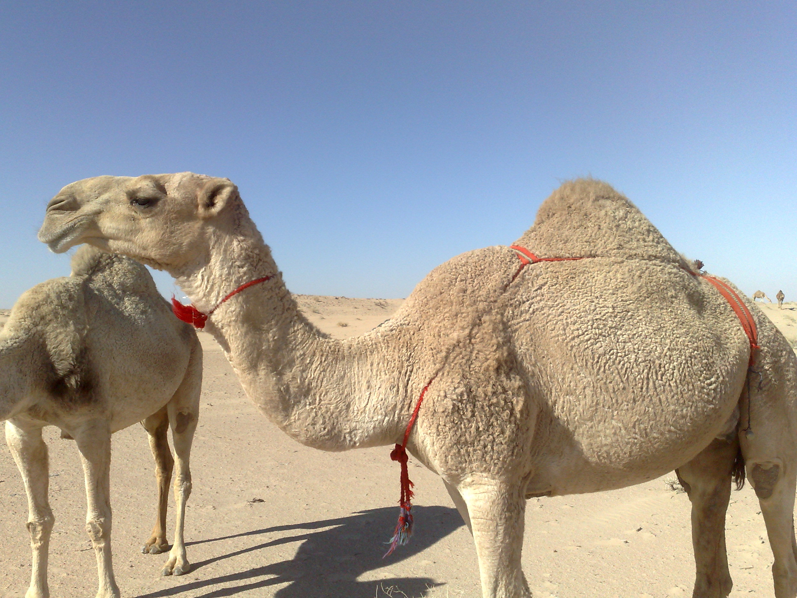 @��� ���� ���� ������ ������@