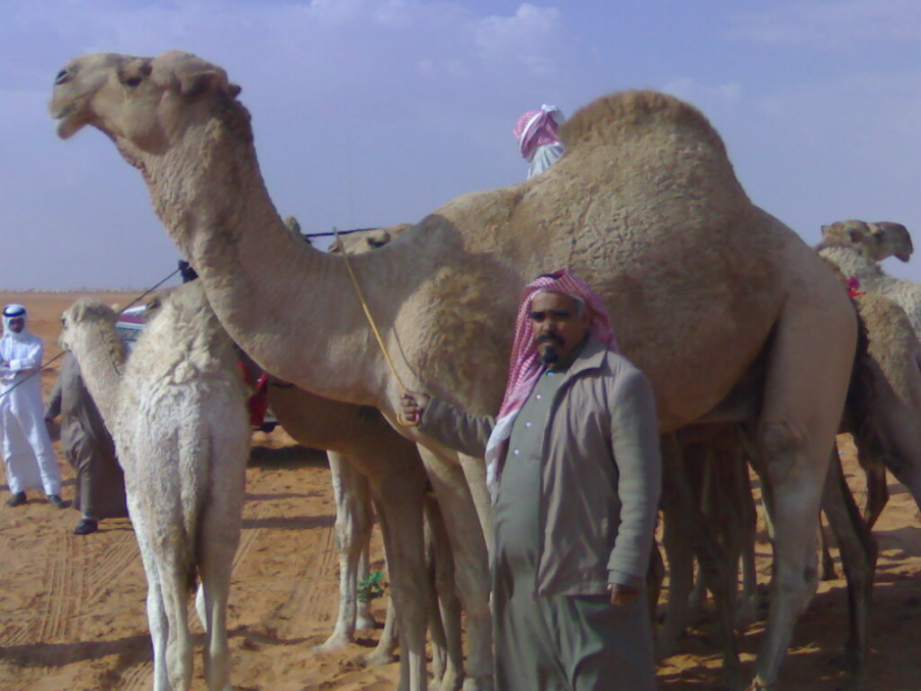 @��� ���� ���� ������ ������@