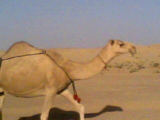 @��� ���� ���� ������ ������@