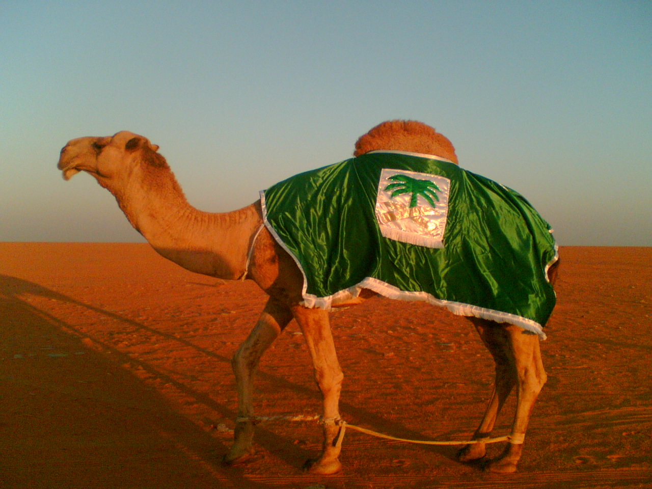 @��� ���� ���� ������ ������@