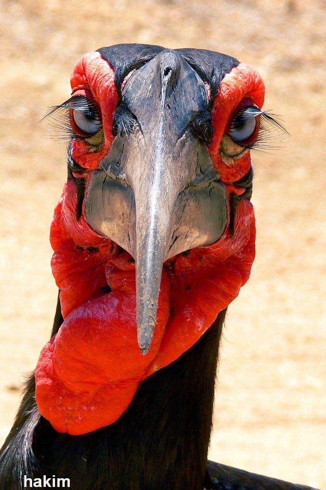 ���� ���� ������� ����� �����