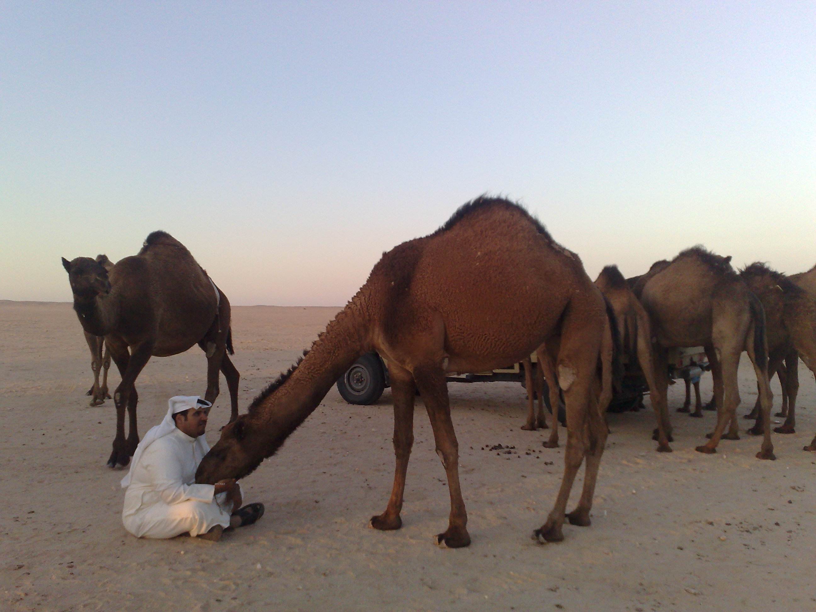 ����� �����/ ����� ���� ����