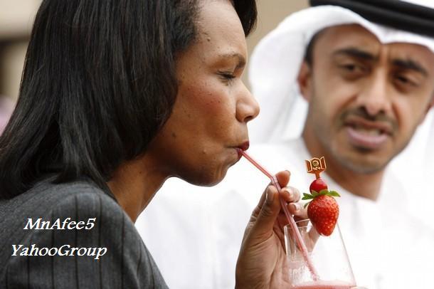 ����������� ����������������